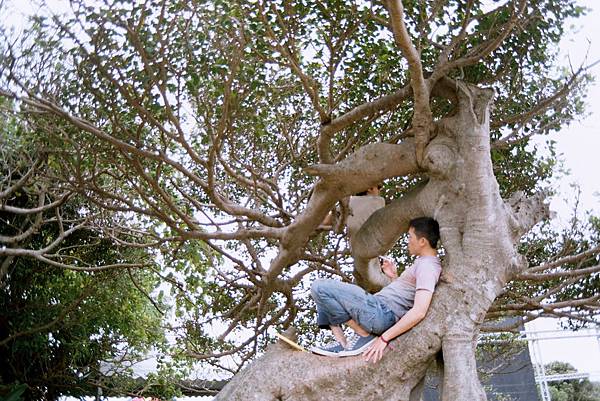 [45-FUJICOLOR 100]Negative0-16-08(1)