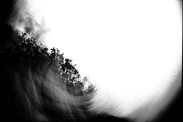 [47-Solaris 100 with Vivitar UWS +2]Negative0-19-19-modified