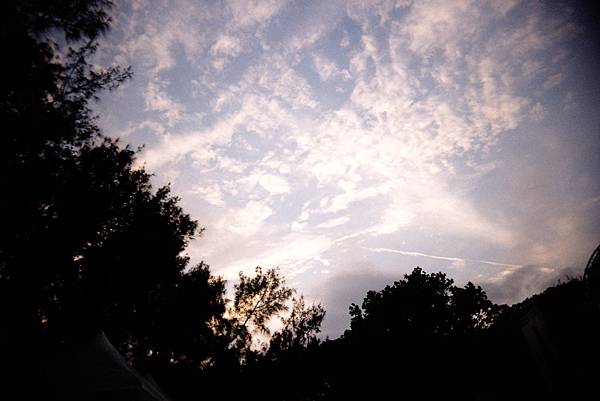 [47-Solaris 100 with Vivitar UWS +2]Negative0-38-00(1)