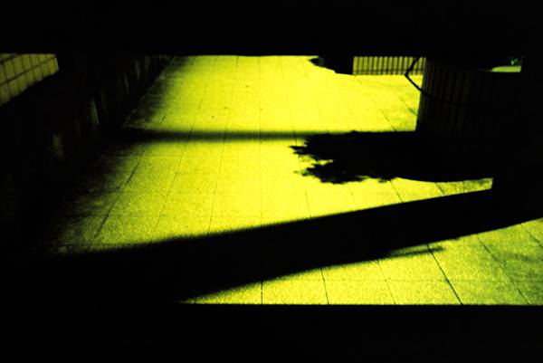 [50-CT precisa 100 e2c]Negative0-20-20(1)