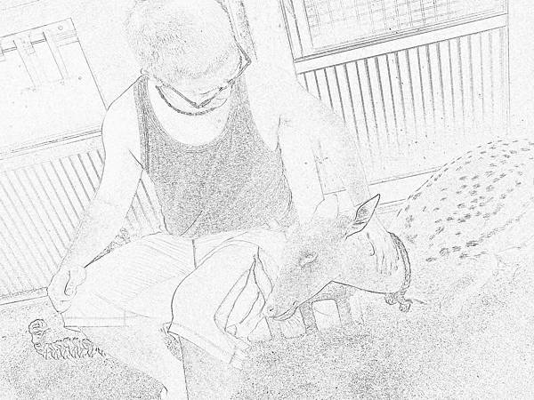 相片實驗室 - 特效百匯 - 素描