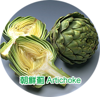 朝鮮薊 Artichoke