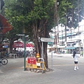 20120920_135609.jpg