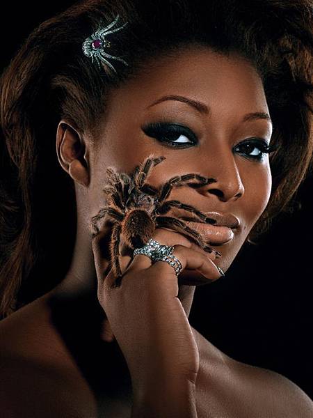 [X]：Toccara