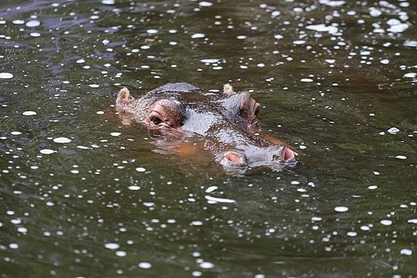 11149475_10152778120446845_7715277599733328483_n 11149475_10152778120446845_7715277599733328483_n