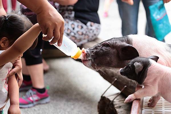 11152346_10152778120686845_5044113658418919065_n 11152346_10152778120686845_5044113658418919065_n