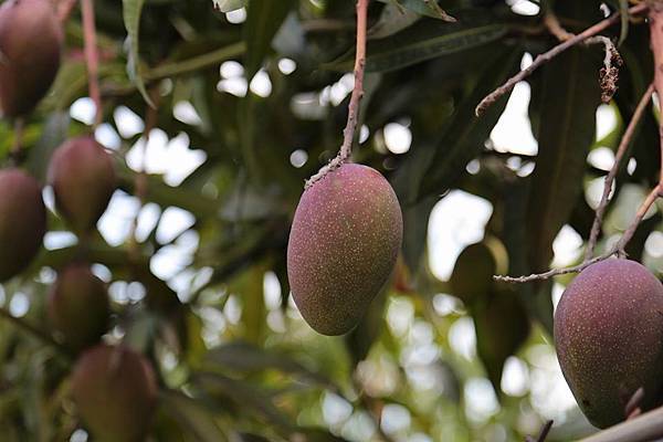 11178317_10152778120326845_52445216805264454_n 11178317_10152778120326845_52445216805264454_n