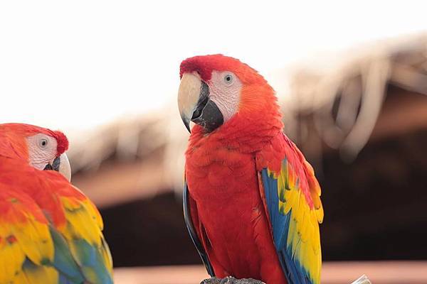 10408100_10152778120901845_6205426581567741095_n