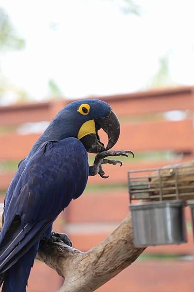 18815_10152778120781845_6240409486144172718_n 18815_10152778120781845_6240409486144172718_n