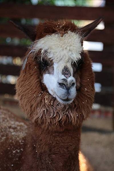 11146228_10152778138066845_4641761215603006989_n 11146228_10152778138066845_4641761215603006989_n