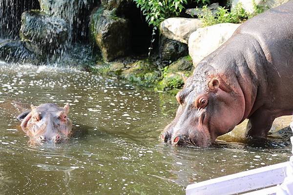 10929155_10152778138336845_8018898080467322858_n 10929155_10152778138336845_8018898080467322858_n