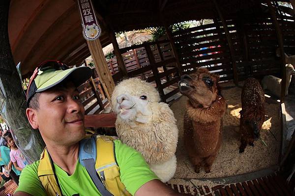 11088545_10152778121391845_5645119704780169729_n 11088545_10152778121391845_5645119704780169729_n