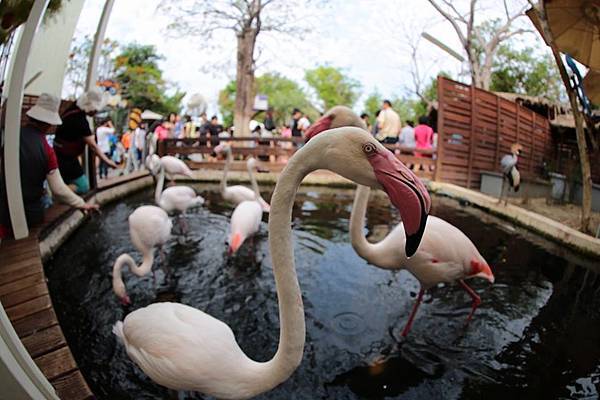 11150823_10152778121161845_5836962464279422916_n 11150823_10152778121161845_5836962464279422916_n