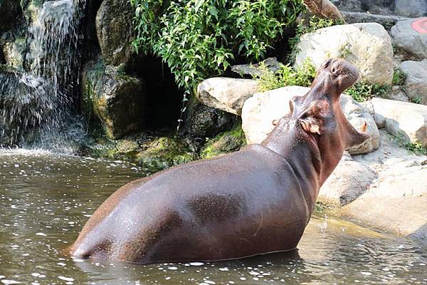 1378641_10152778138431845_8306938568569385234_n 1378641_10152778138431845_8306938568569385234_n