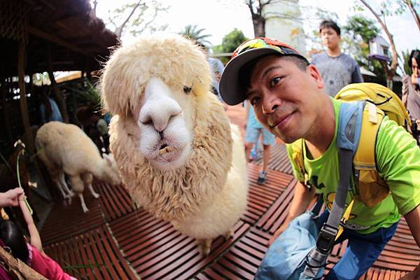 11052437_10152778121276845_3195810096498205555_n