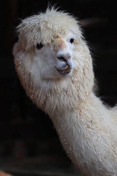 11062820_10152778137976845_8551247622489146681_n 11062820_10152778137976845_8551247622489146681_n