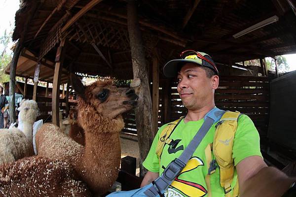 10628543_10152778121641845_8259612958112123075_n 10628543_10152778121641845_8259612958112123075_n