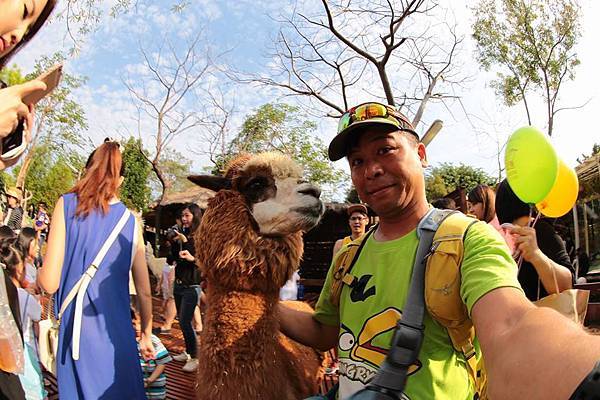 15522_10152778121821845_8436687537315296232_n 15522_10152778121821845_8436687537315296232_n