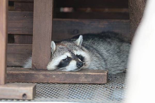 11173336_10152778137736845_5280885096162517126_n 11173336_10152778137736845_5280885096162517126_n