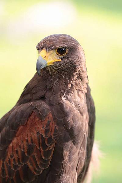 11156411_10152778137881845_296611926448780674_n 11156411_10152778137881845_296611926448780674_n