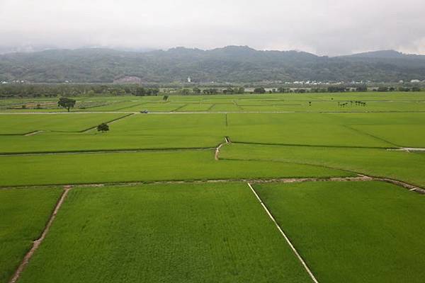 1435647581073 1435647581073