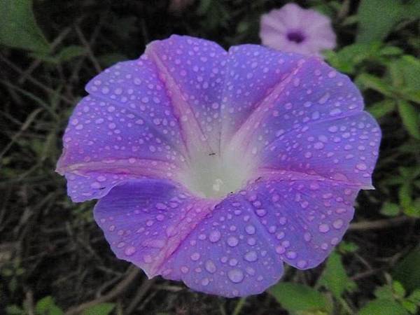 1436168497609 1436168497609