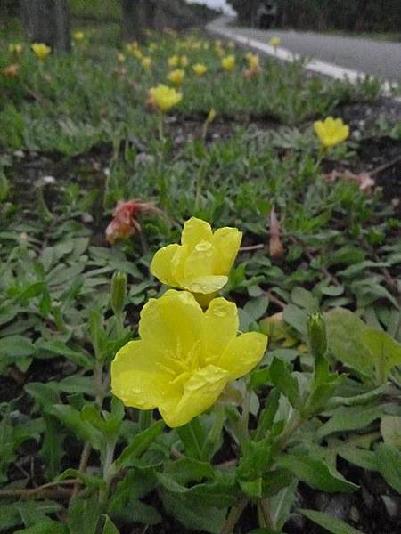 1436168498426 1436168498426