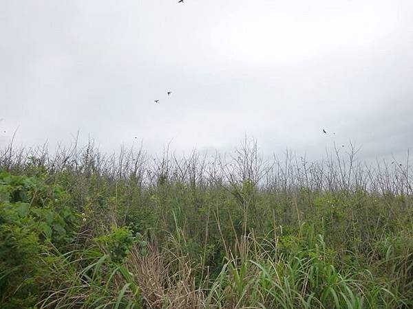 1436168502931 1436168502931