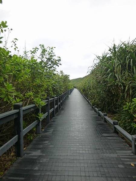 1436168507336 1436168507336