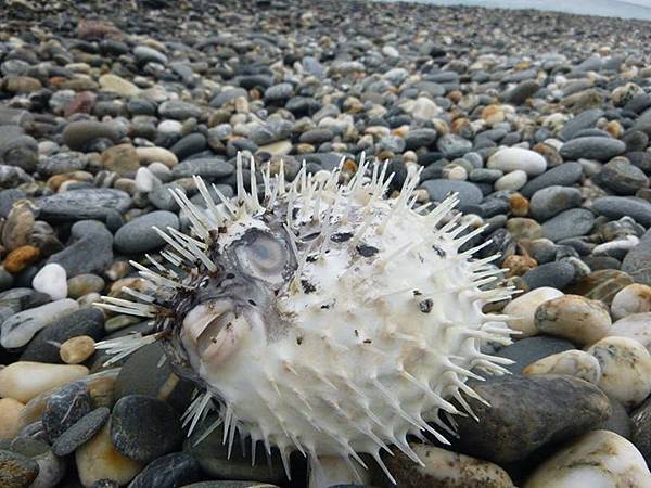 1436168512352 1436168512352