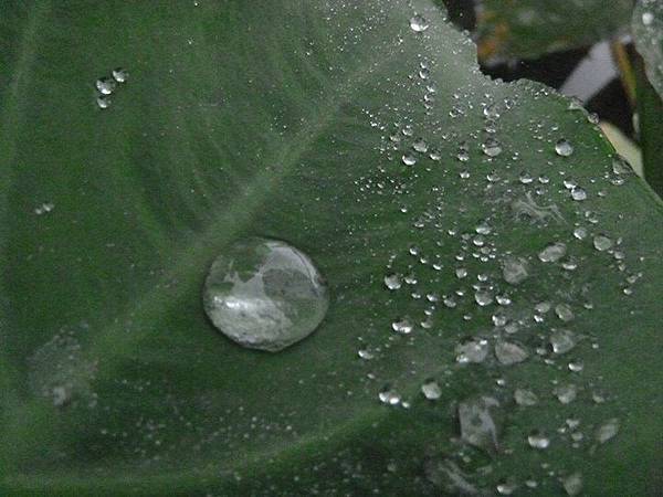 1436168525763 1436168525763