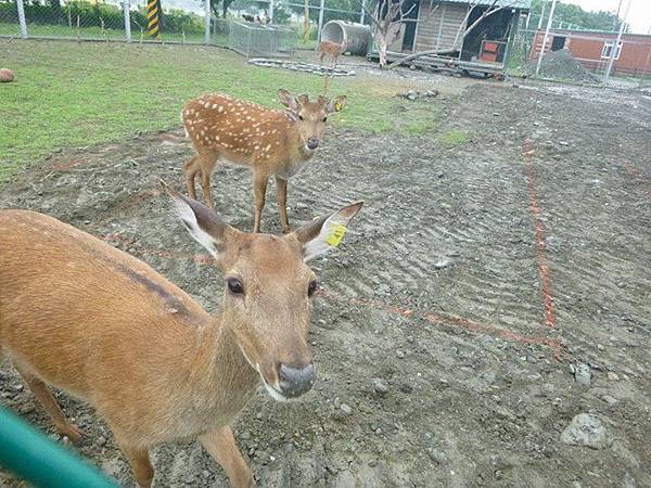 1436168522487 1436168522487