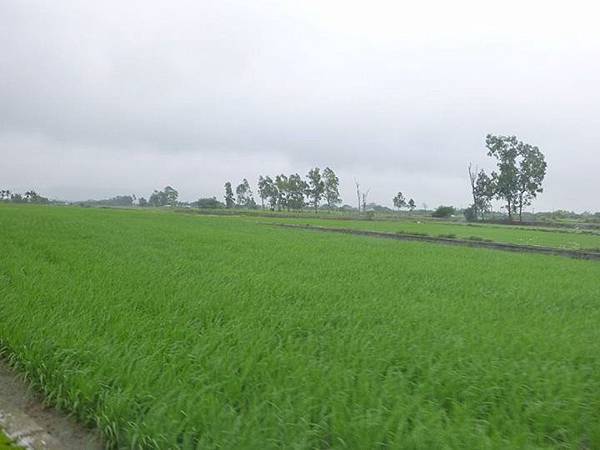 1436168525149 1436168525149