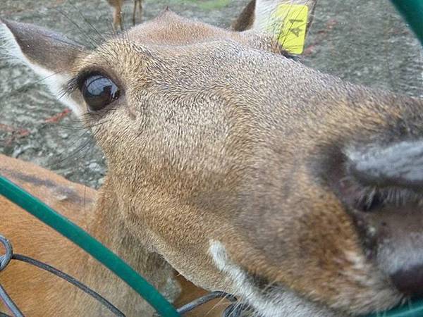 1436168523923 1436168523923