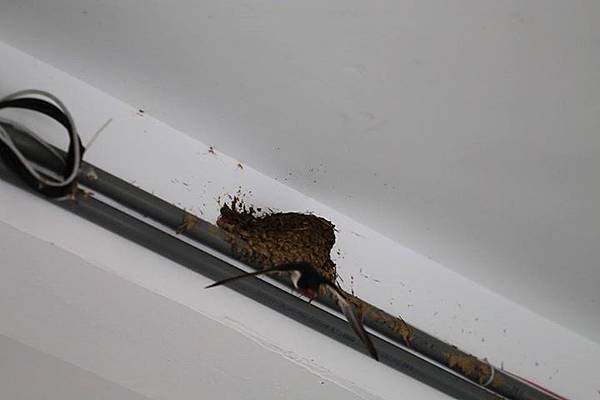 1436168442614 1436168442614