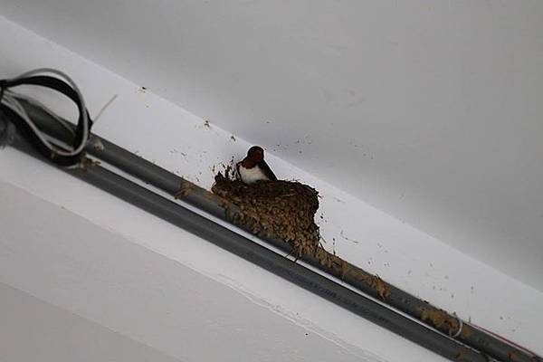 1436168442001 1436168442001