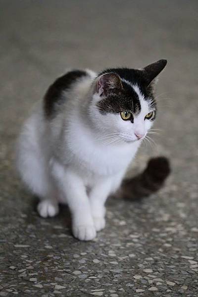 1436168446710 1436168446710