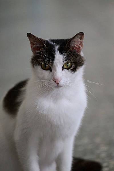 1436168447426 1436168447426