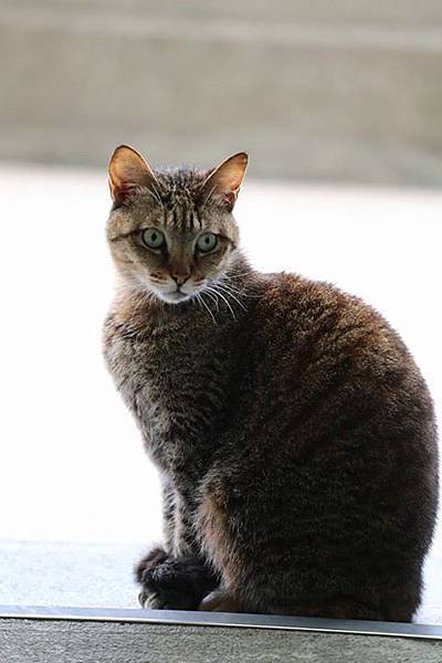 1436168445589 1436168445589