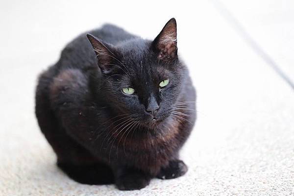 1436168446095 1436168446095