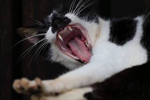 1436168452035 1436168452035