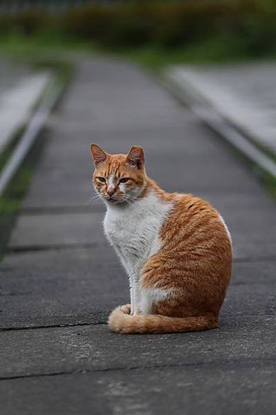 1436168451420 1436168451420