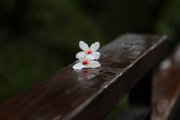 1436168467705 1436168467705