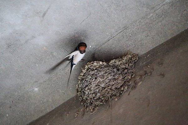 1436168471901 1436168471901