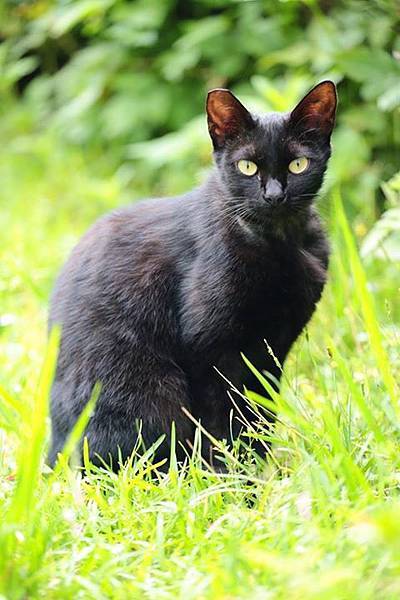 1436168455721 1436168455721