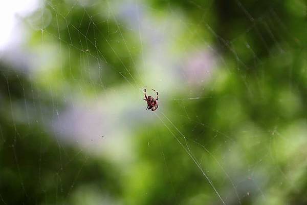 1436168470061 1436168470061