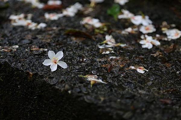 1436168466473 1436168466473