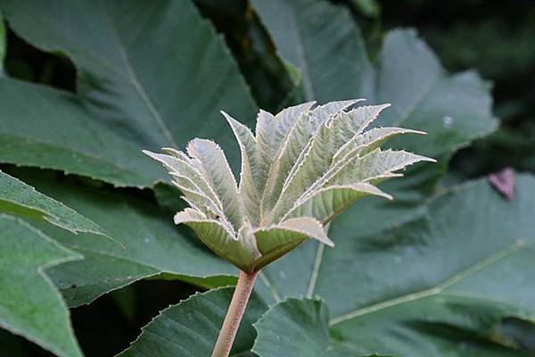 1436168465040 1436168465040