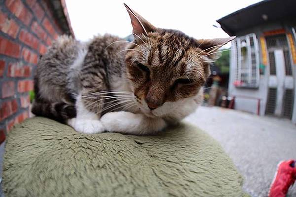 1436168461765 1436168461765