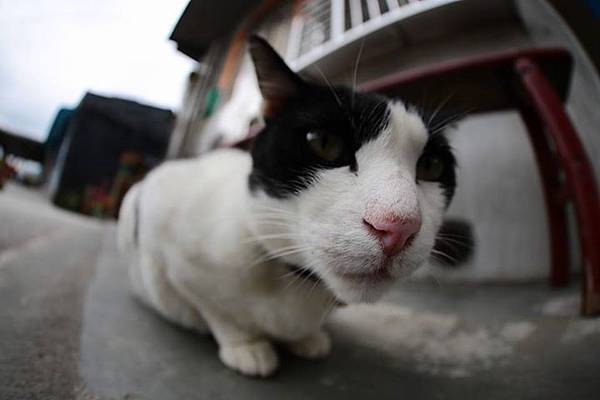 1436168462894 1436168462894